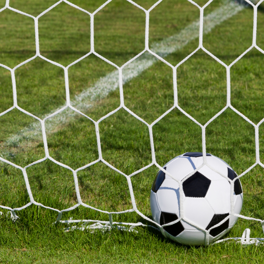 Petek Kale Filesi - 1